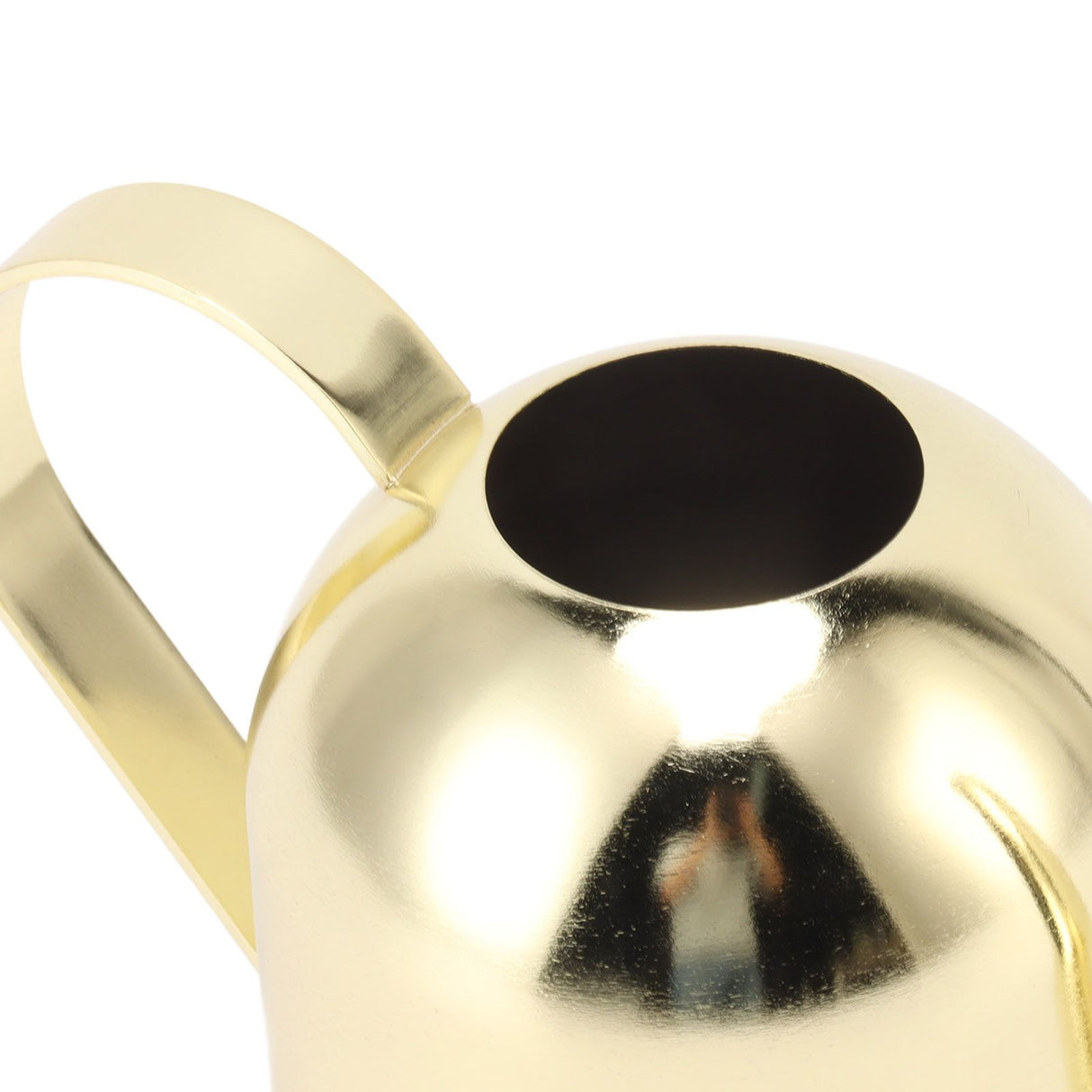 Watering Can Stainless Steel Sprinkling Pot Large Capacity Long Spout for Indoor Outdoor House Planting Gardening Gold