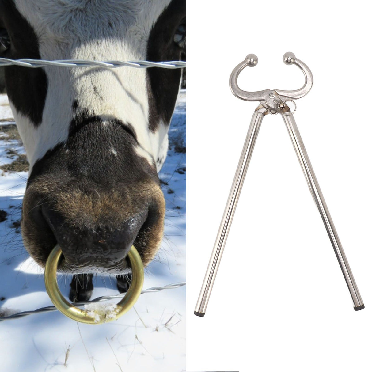 Cow Nose Plier Stainless Steel Automatic Locking Bull Cattle Nose Ring Pliers for Farm Ranch