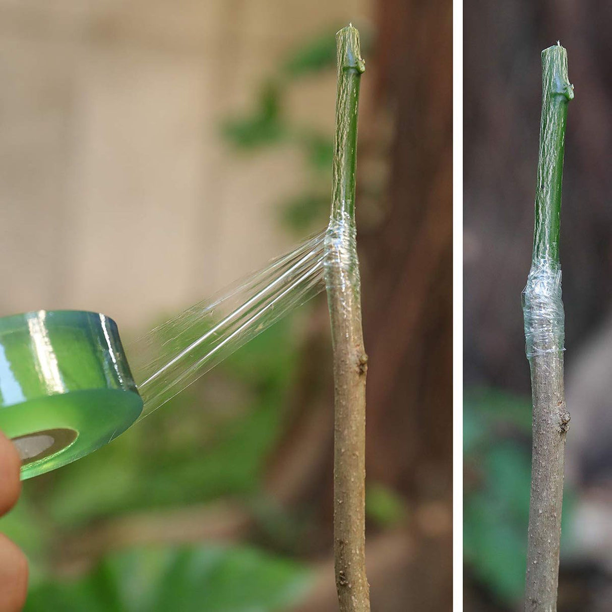 3pcs Grafting Tape Professional Stretchable Self Adhesive Plants Repair Budding Tapes for Floral Fruit Tree Green