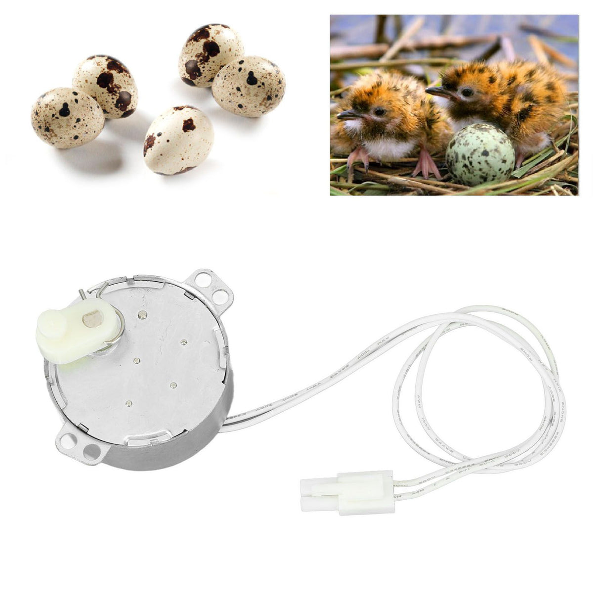 Egg Turnner Motor 4W Egg Turner Rotator Incubator Motor for Chickens Ducks Goose Birds Egg 100-120v