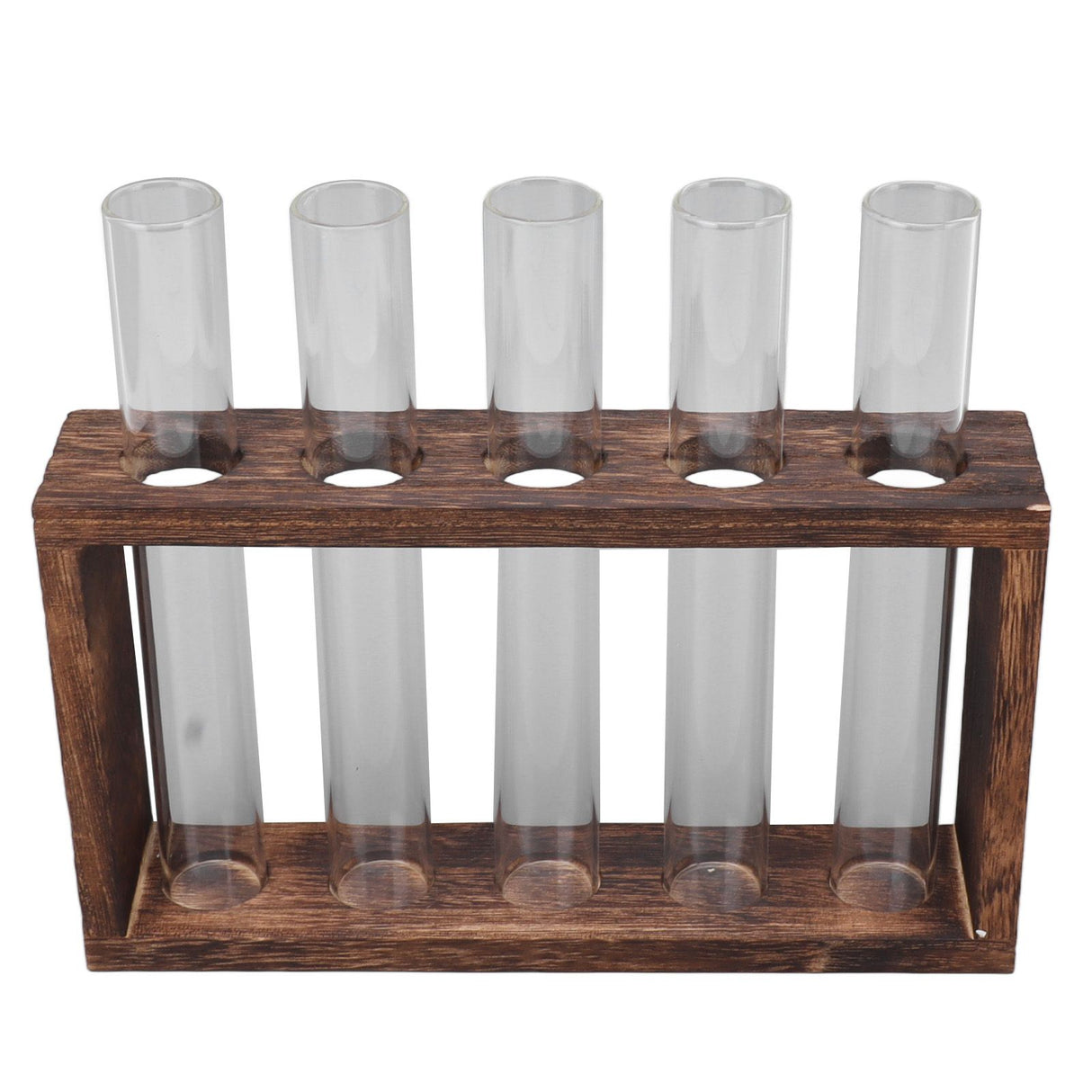 5 Test Tube Plant Terrarium Transparent Observe Growth Status Water Plant Holder with Wooden Stand for Herbs Carbon Color
