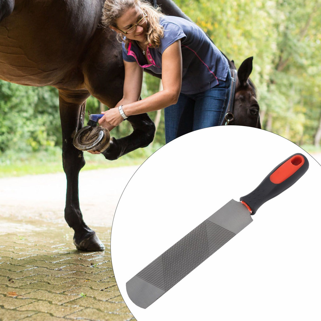 8 Inch Hoof Rasp Carbon Steel Ergonomic Horseshoe File Horseshoe Trimming Tool with Flexible Handle for Horse