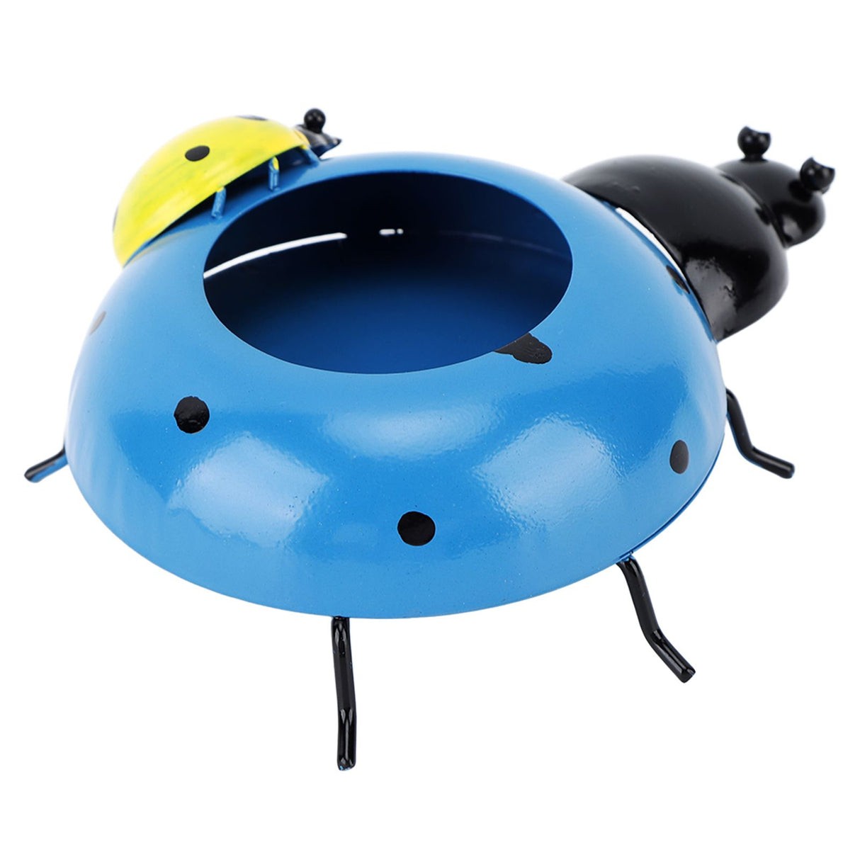 5.4cm Diameter Flower Pot Decor Ladybug Shaped Smoothing Surfaces Iron Planter Pot for Garden Blue