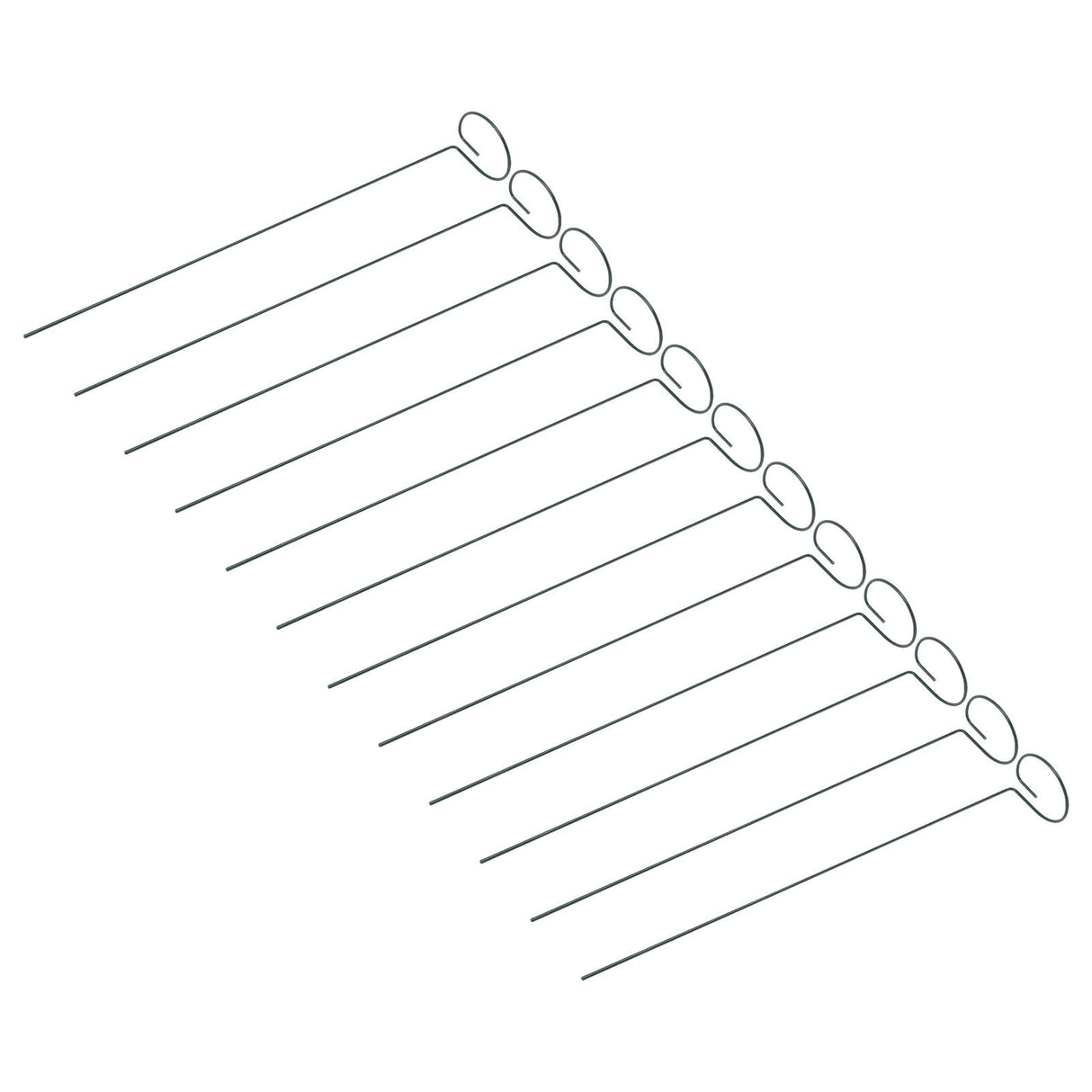 12Pcs Plant Stakes Reusable Plant Sticks Support Anti Rust Stem Flower Support for Home Garden Yard Farm