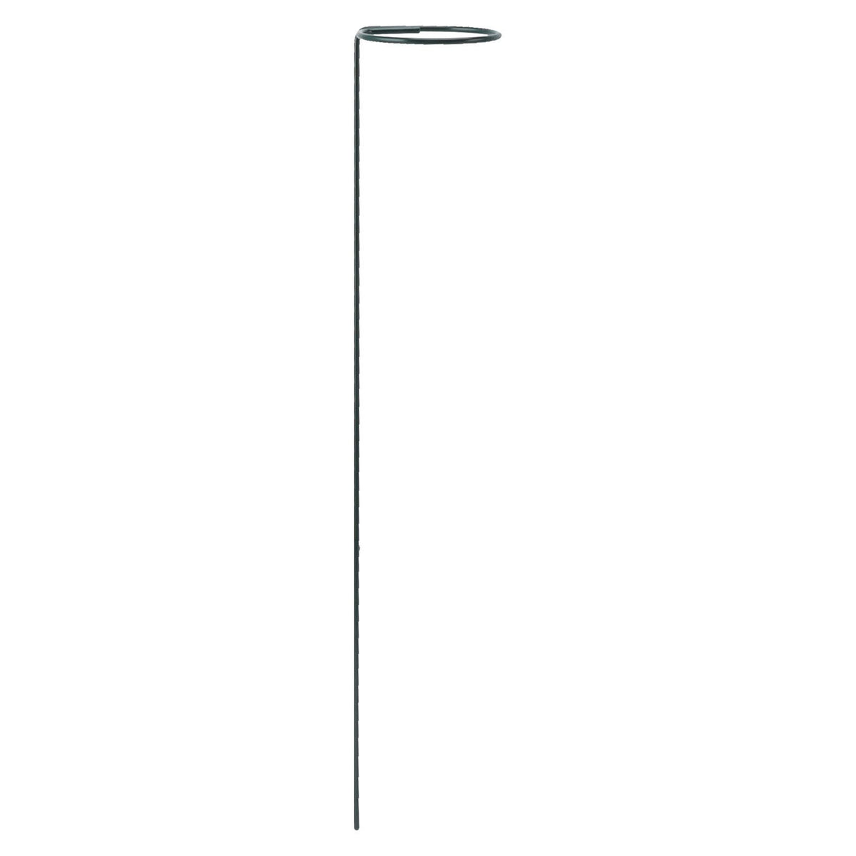 12Pcs Plant Stakes Reusable Plant Sticks Support Anti Rust Stem Flower Support for Home Garden Yard Farm