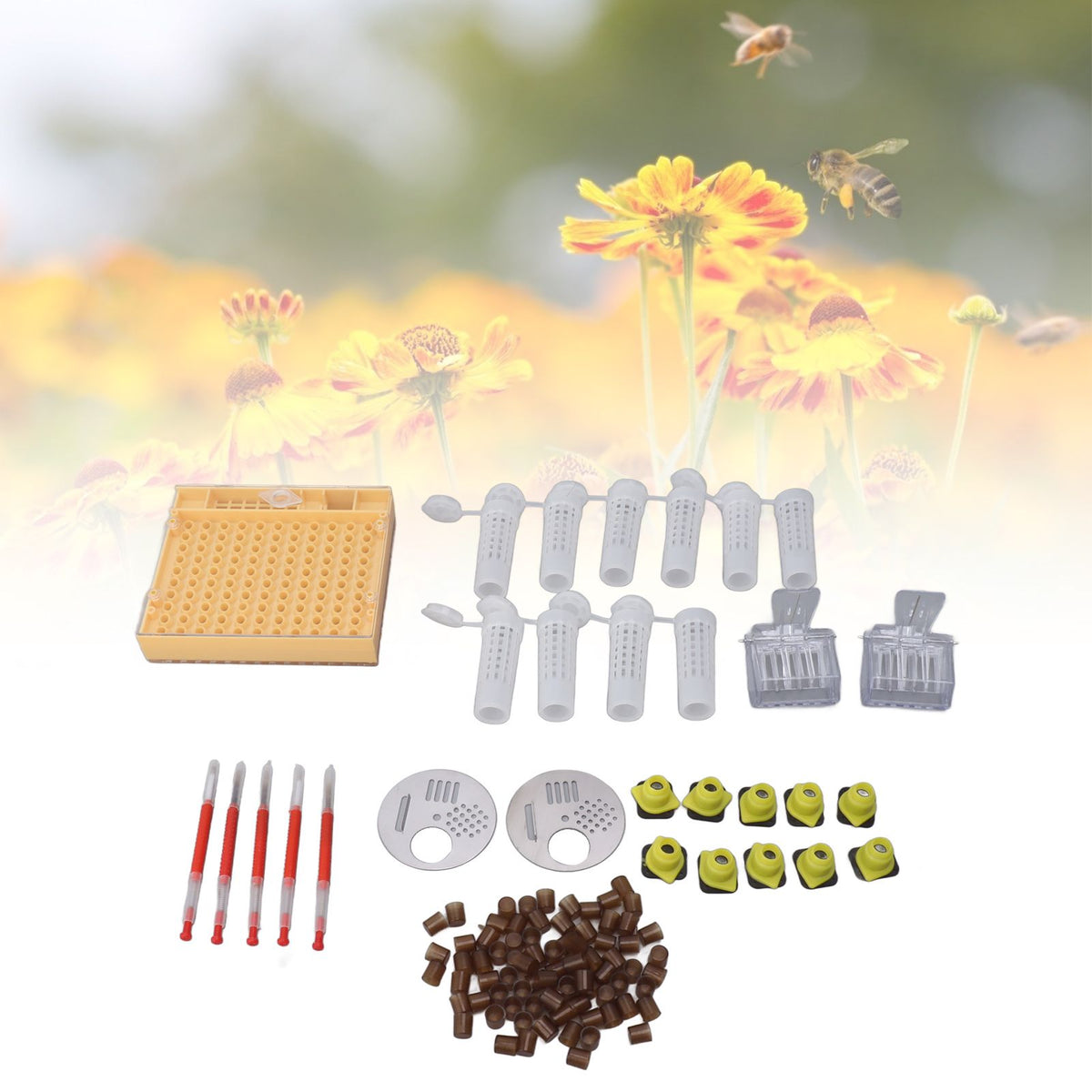 Plastic Queen Rearing System Beekeeping Queen Bee Rearing Grafting Kit Beekeeping Tools Supplies
