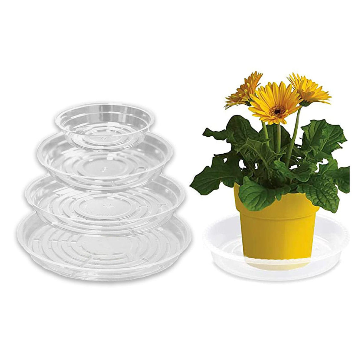 20pcs Plant Saucer Tray 6in 8in 10in 12in Heavy Duty Plastic Clear Flower Plant Pot Drip Tray for Indoor Outdoor