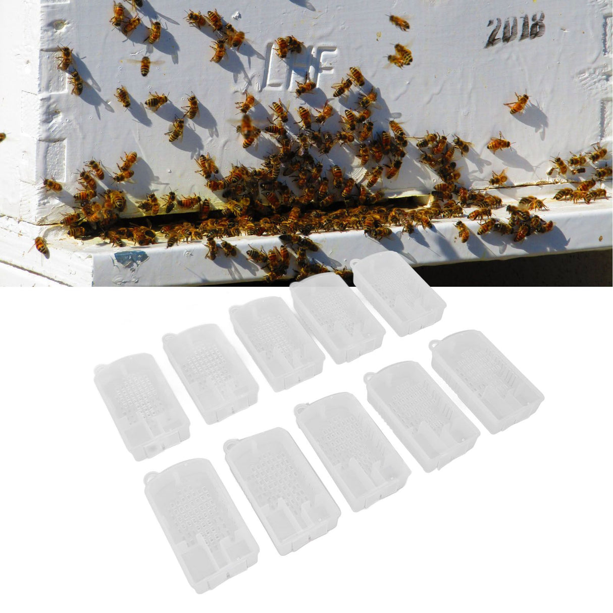 10 Pcs Beekeeping Tools Multifunctional Plastic Beekeeping Box Extra Large Beekeeping Cage