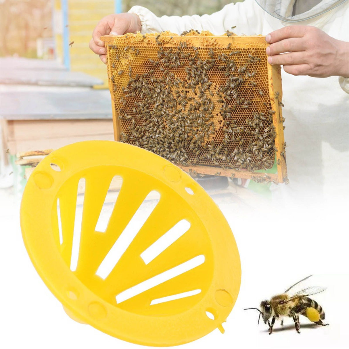 20 Pcs Beehive Entrance Exit Cone Plastic Beehive One Way Entrance Gate For Beekeeping