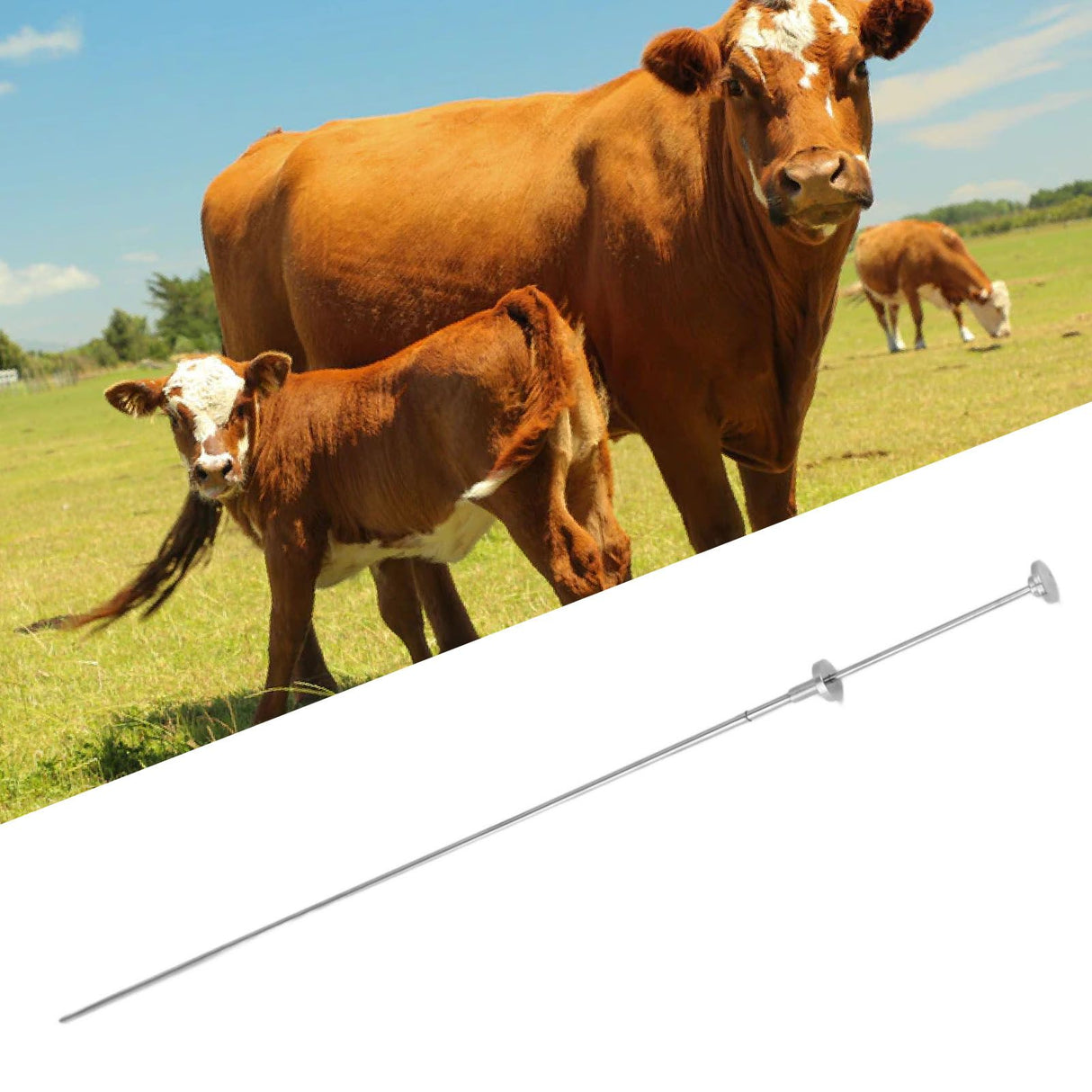 Cow Inseminating Rod 304 Stainless Steel Artificial Animal Breeding Tool 0.25ML 0.5ML Universal