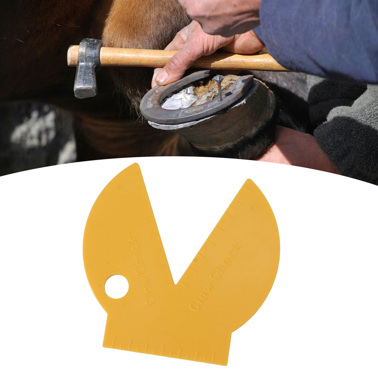 Hoof Claw Check Gauge Engineering Plastic Measurement Diagnosis Cattle Cow Hoof Trimming Ruler for Farm