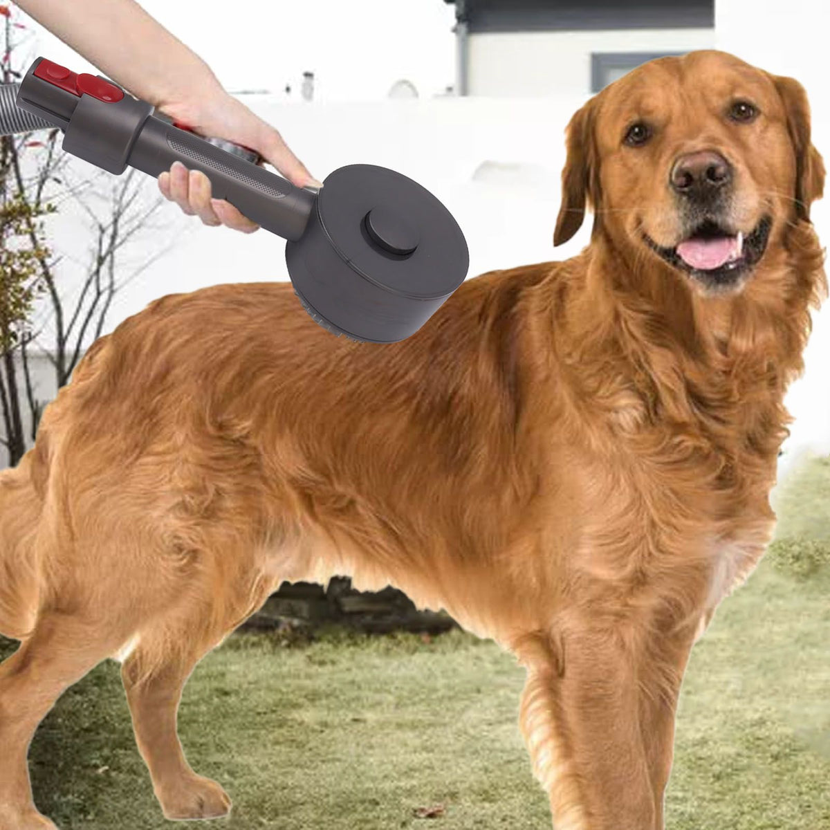Vacuum Dog Pet Hair Brush Attachment Pet Grooming Tools Hair Removal for Dogs Cats for V6 V7 V8 V10 V11 V15