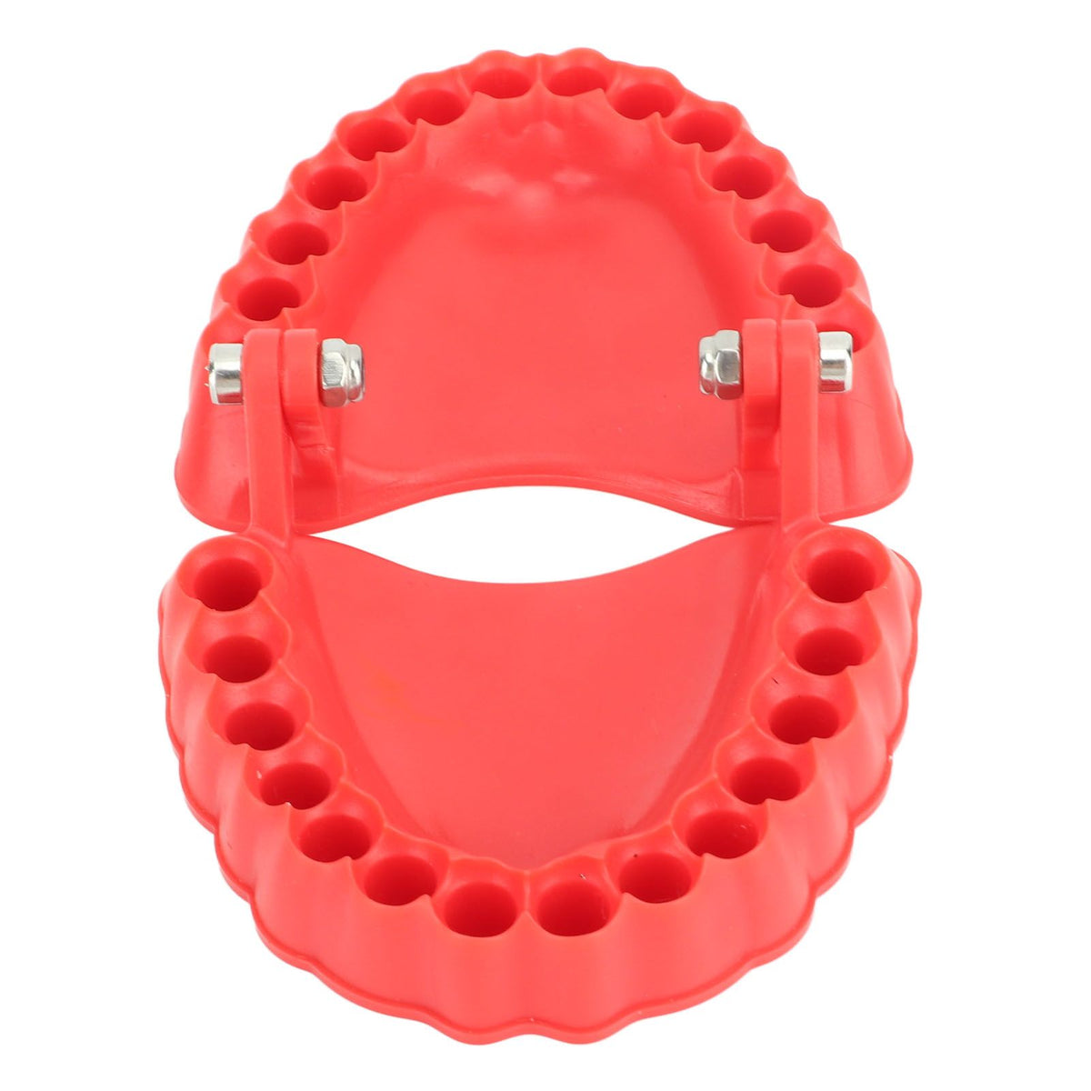 Denture Drill Bit Holder Denture Screwdriver Organizer 3D Sculpture Desk Decor 28 Holes Red Without Bits