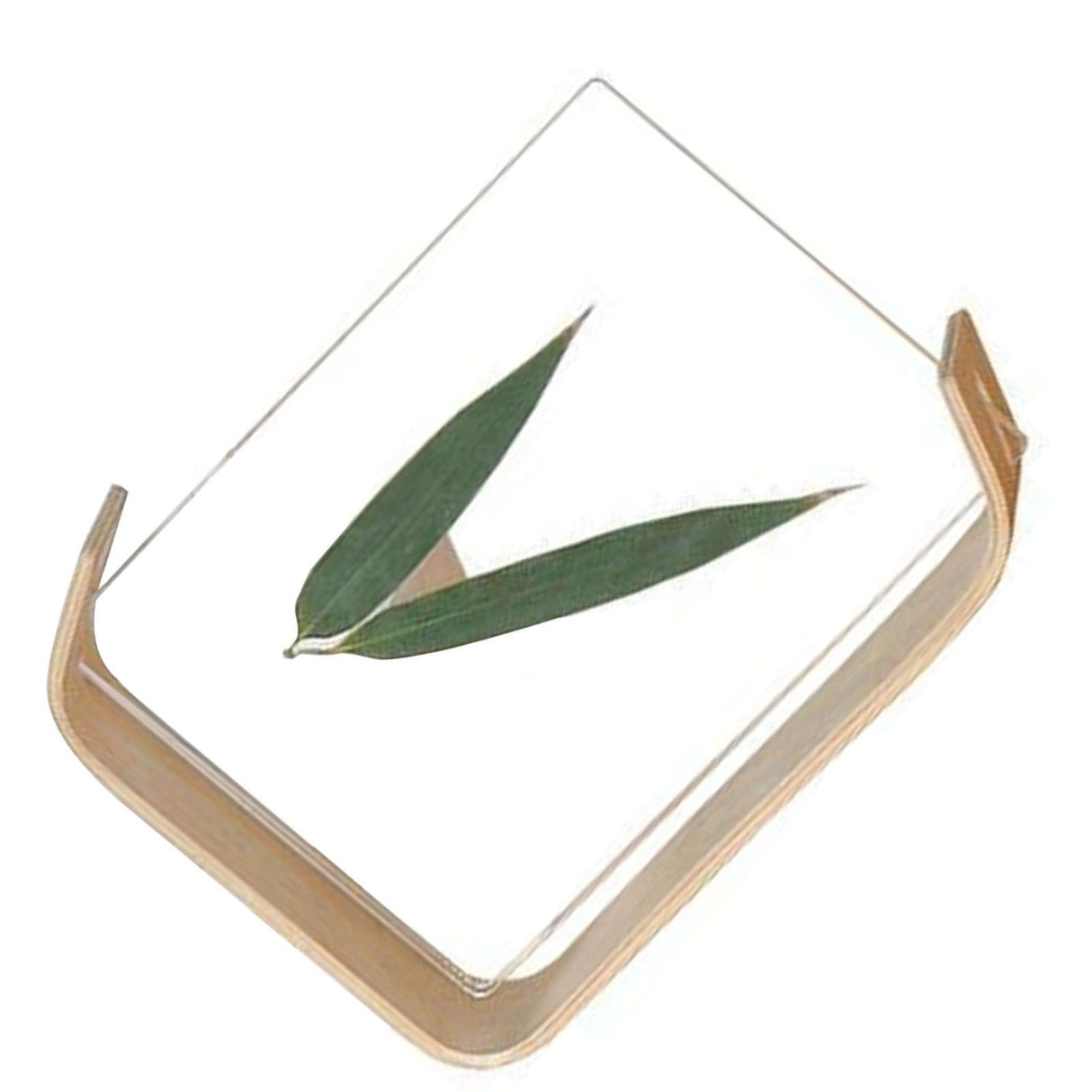 Desktop Plant Specimen Frame Wooden Acrylic Simple Modern Photo Frame Desktop Ornament Home Decoration