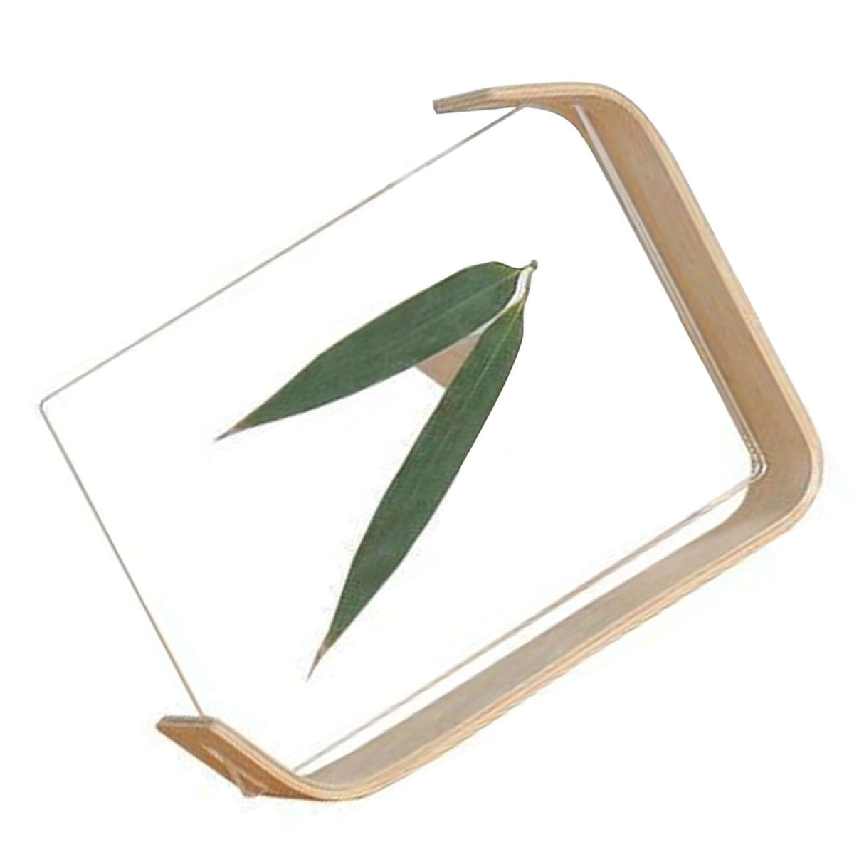 Desktop Plant Specimen Frame Wooden Acrylic Simple Modern Photo Frame Desktop Ornament Home Decoration