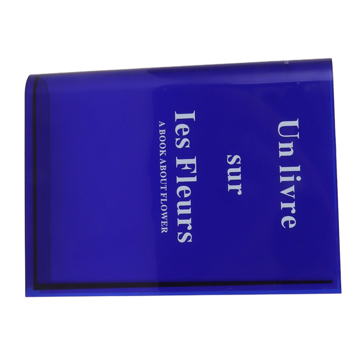 Book Vase for Flowers Acrylic Decorative Transparent Clear Book Shape Flower Vase for Home Living Room Office Blue
