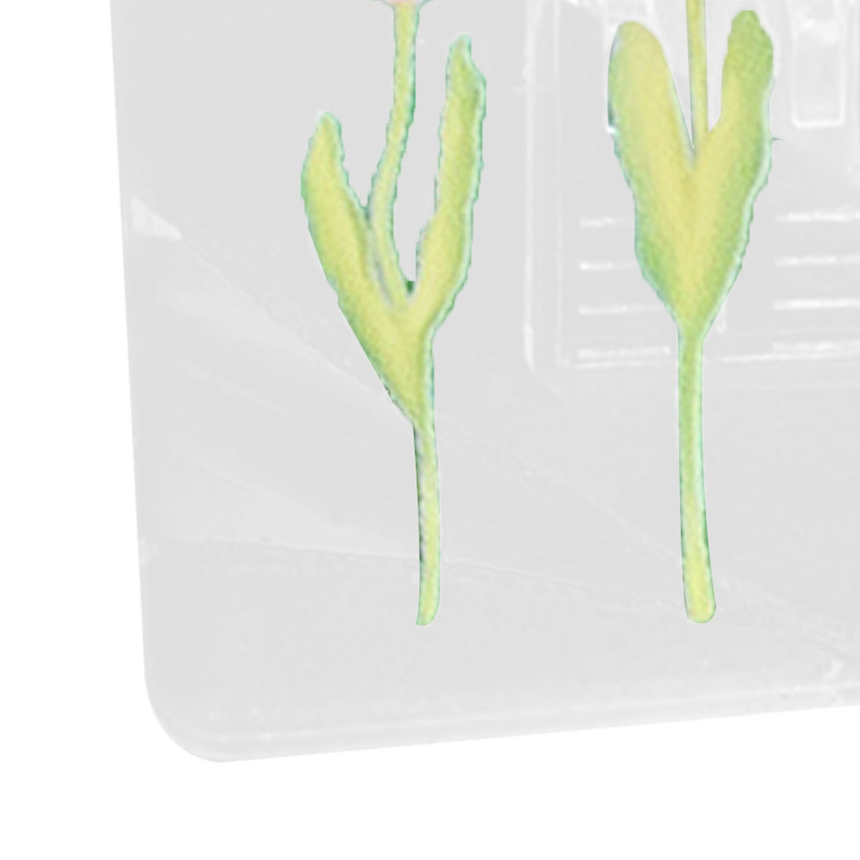 Double Sided Photo Clip Acrylic Tulip Pattern Multifunctional Transparent Paper Clamp for Organization Light Pink