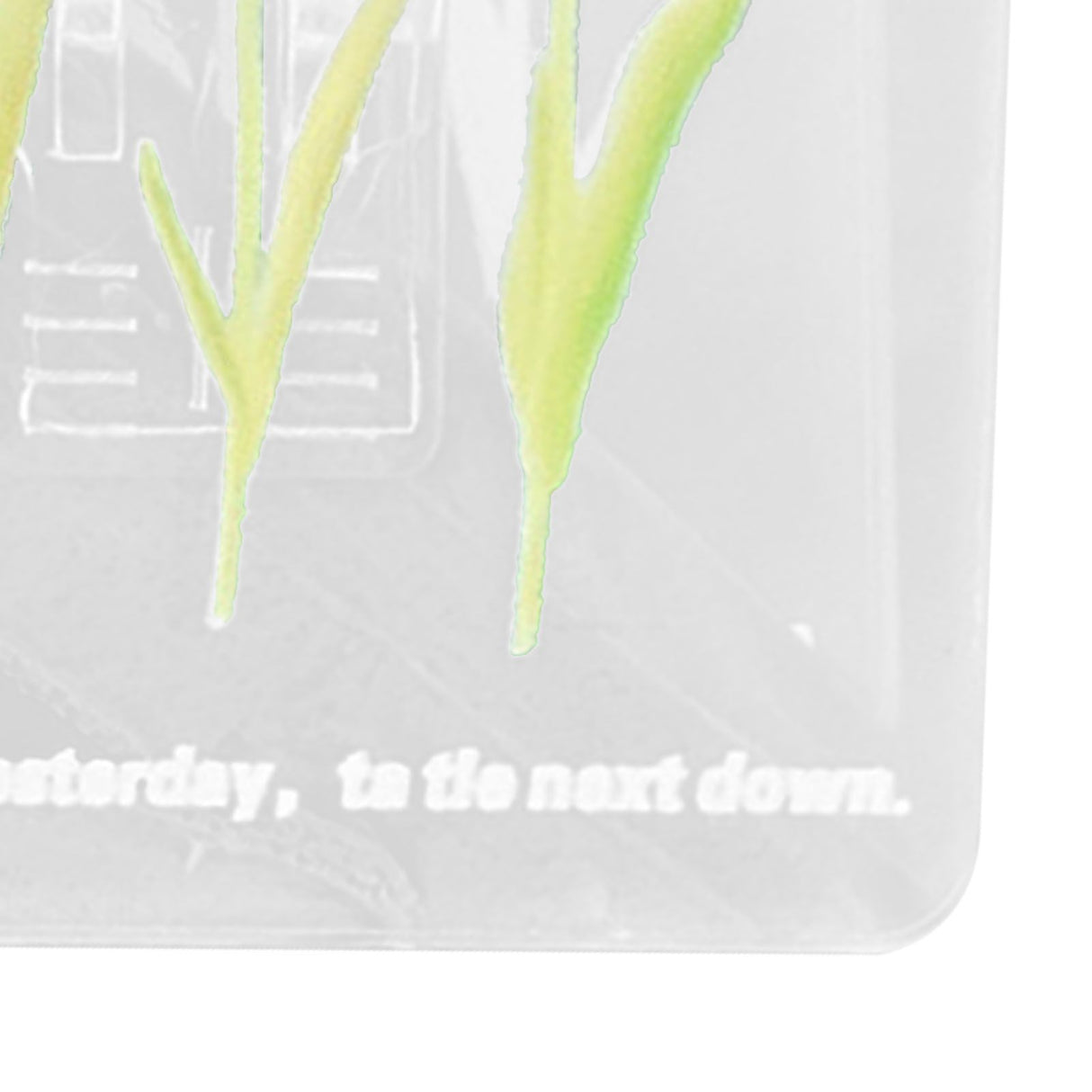 Double Sided Photo Clip Acrylic Tulip Pattern Multifunctional Transparent Paper Clamp for Organization Light White