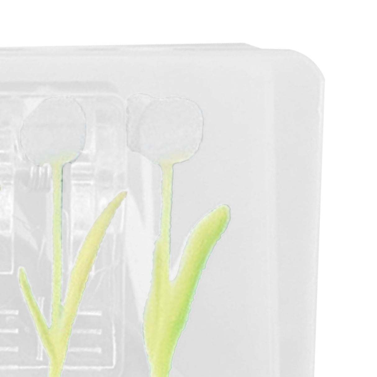 Double Sided Photo Clip Acrylic Tulip Pattern Multifunctional Transparent Paper Clamp for Organization Light White