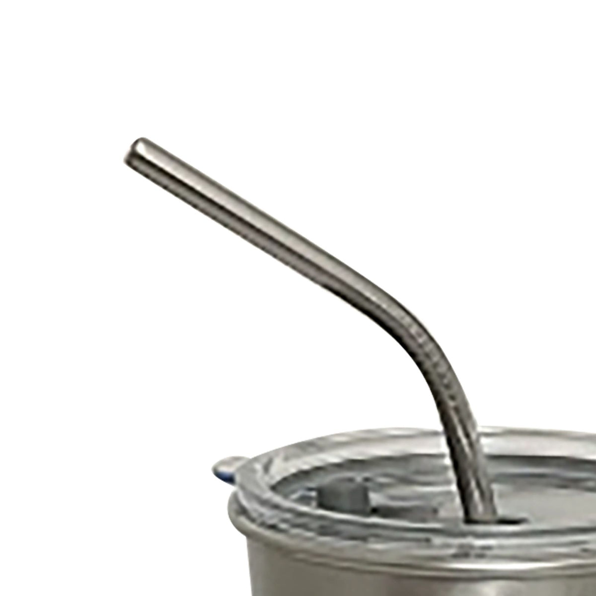 Stainless Steel Cold Tumbler 500ml with Metal Straws Lid Iced Coffee Travel Mug for Coffee Water Tea Loving Dog