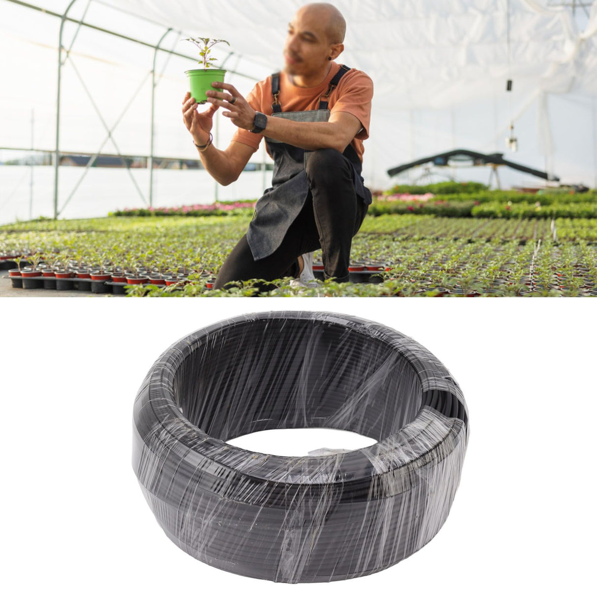 Bonsai Wire Aluminum Wire Bonsai Tree Training Wire 500g Black for Garden Horticulture 3.0mm / 0.12in