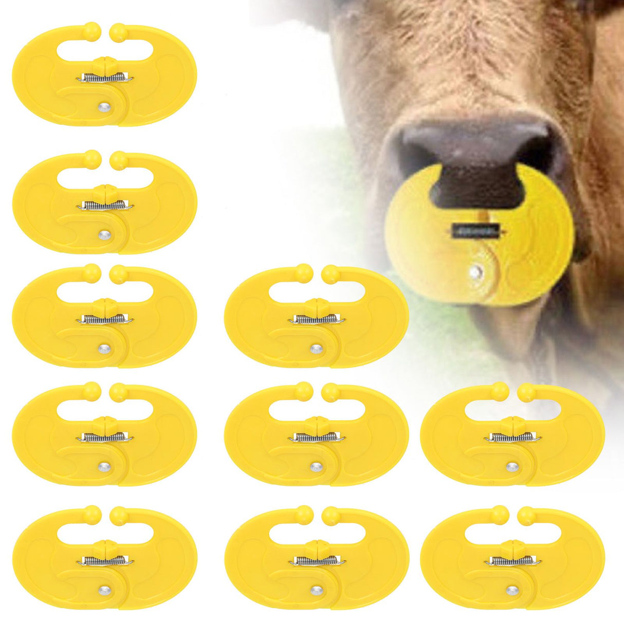 10 Pcs Calf Weaner Spring Lock High Tensile Strength Lengthened Widened PP Calf Nose Thorn Milk Sucking Preventer
