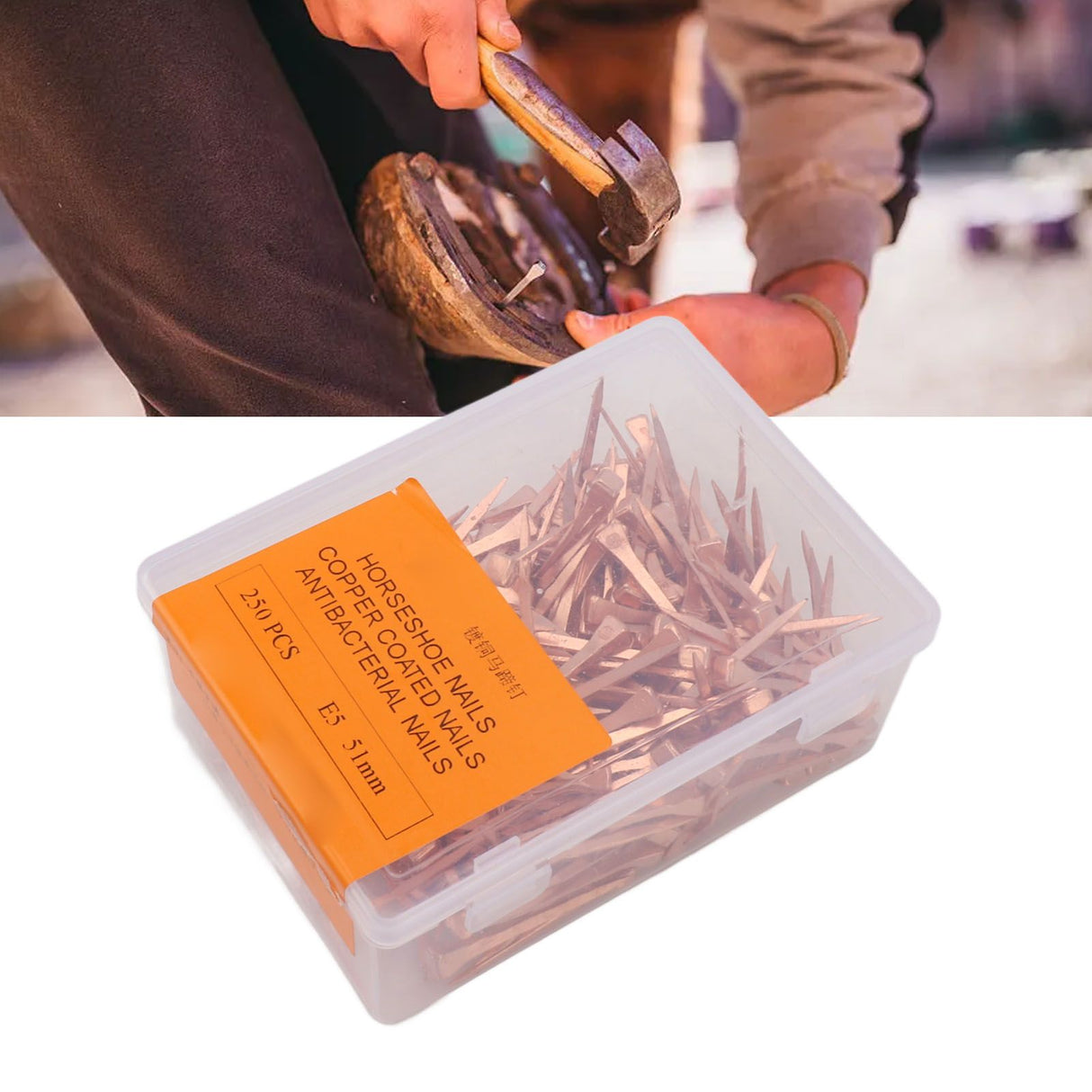 250Pcs Horseshoe Nails Copper Plated Rustproof Equestrian Riding Equipment Pet Supplies 51mm E5