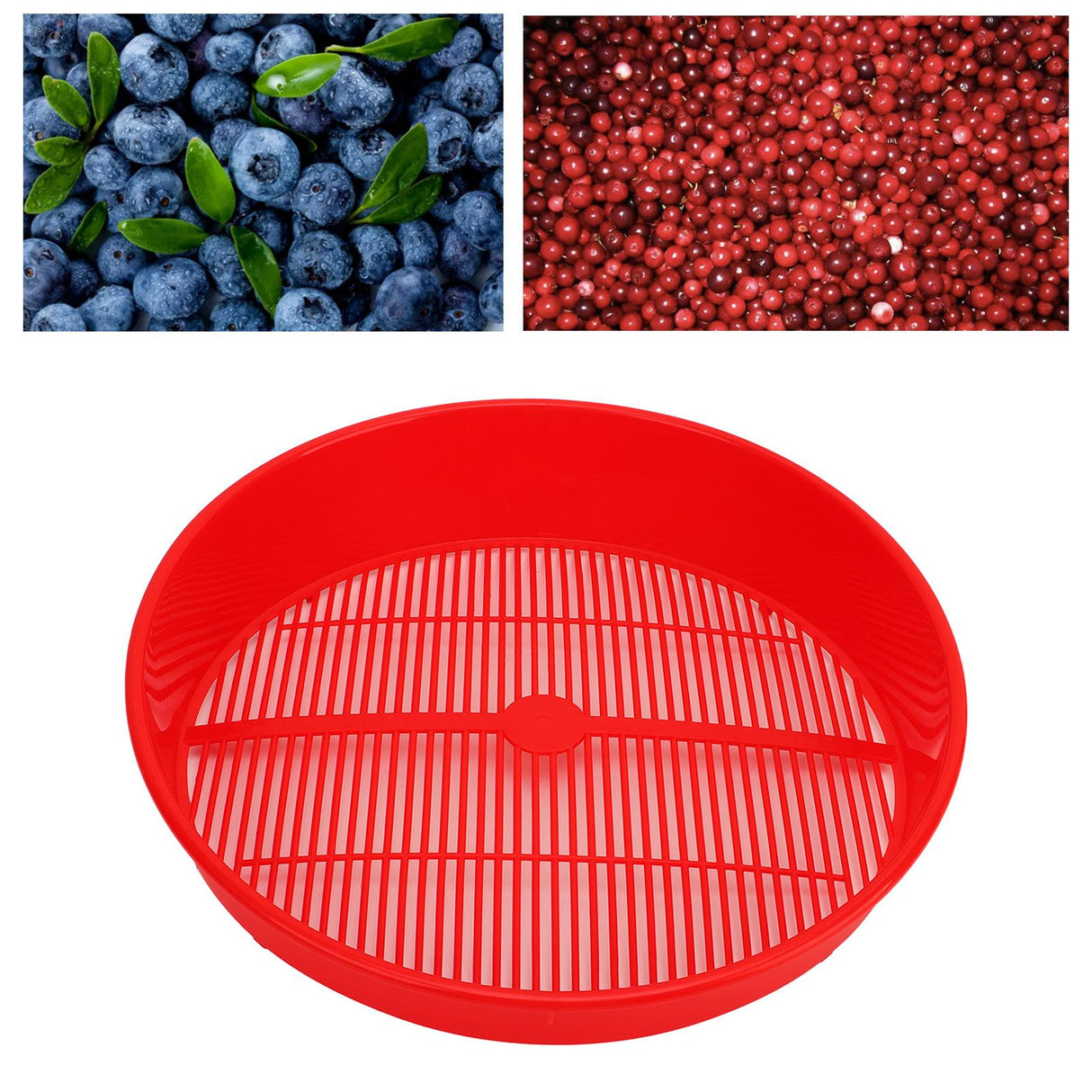 Plastic Blueberry Sieve Washing Sieve Fruit and Vegetable Washing Basket Drain Basket for Kitchen