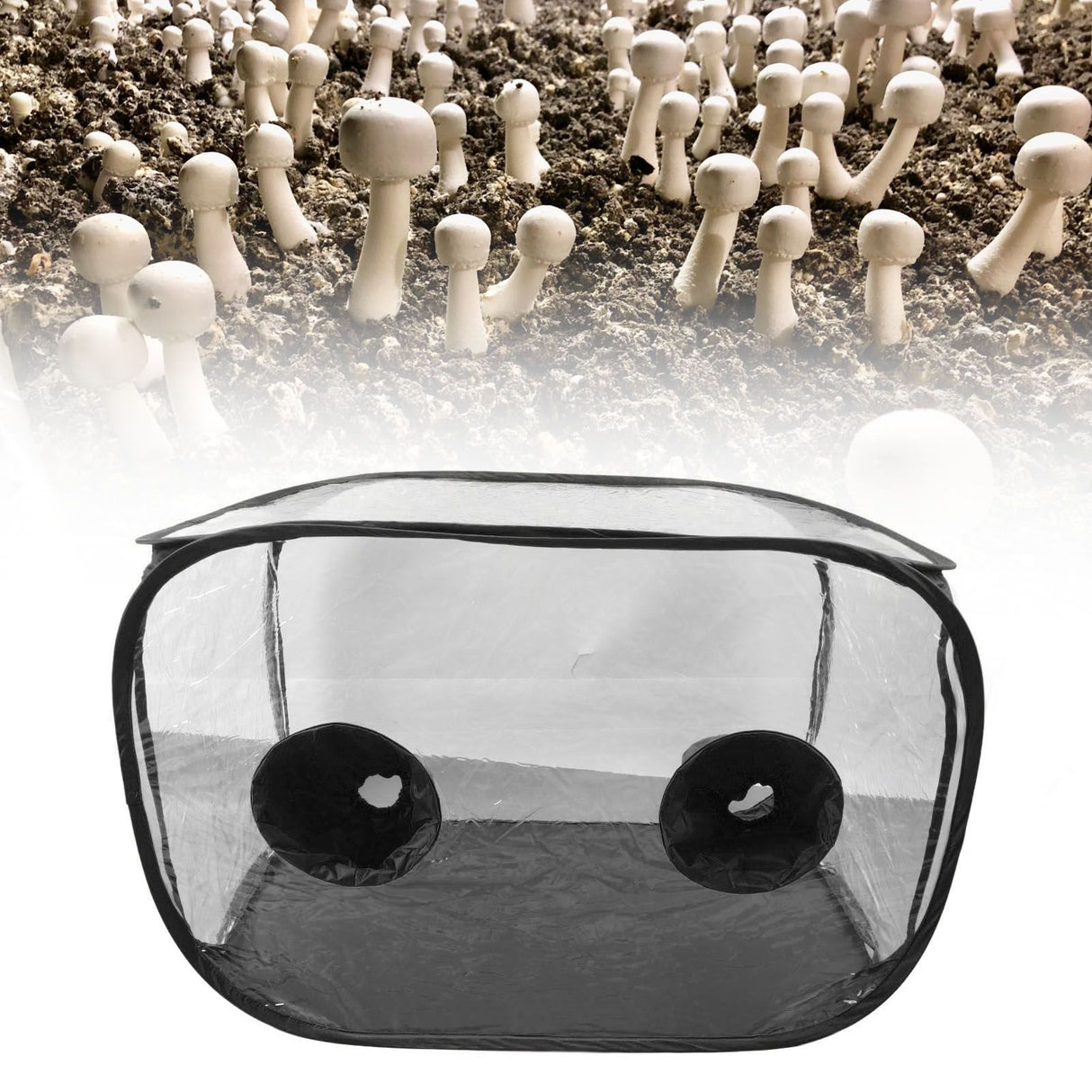 Mushroom Growing Still Air Box Portable Foldable Pop Up PVC Mushroom Container Set