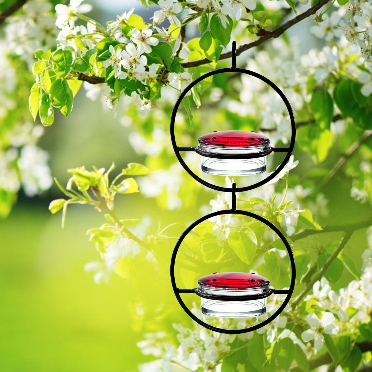 Beautiful Circular Hanging Hummingbird Feeder Outdoor Hanging Humming Bird Feeder 2pc