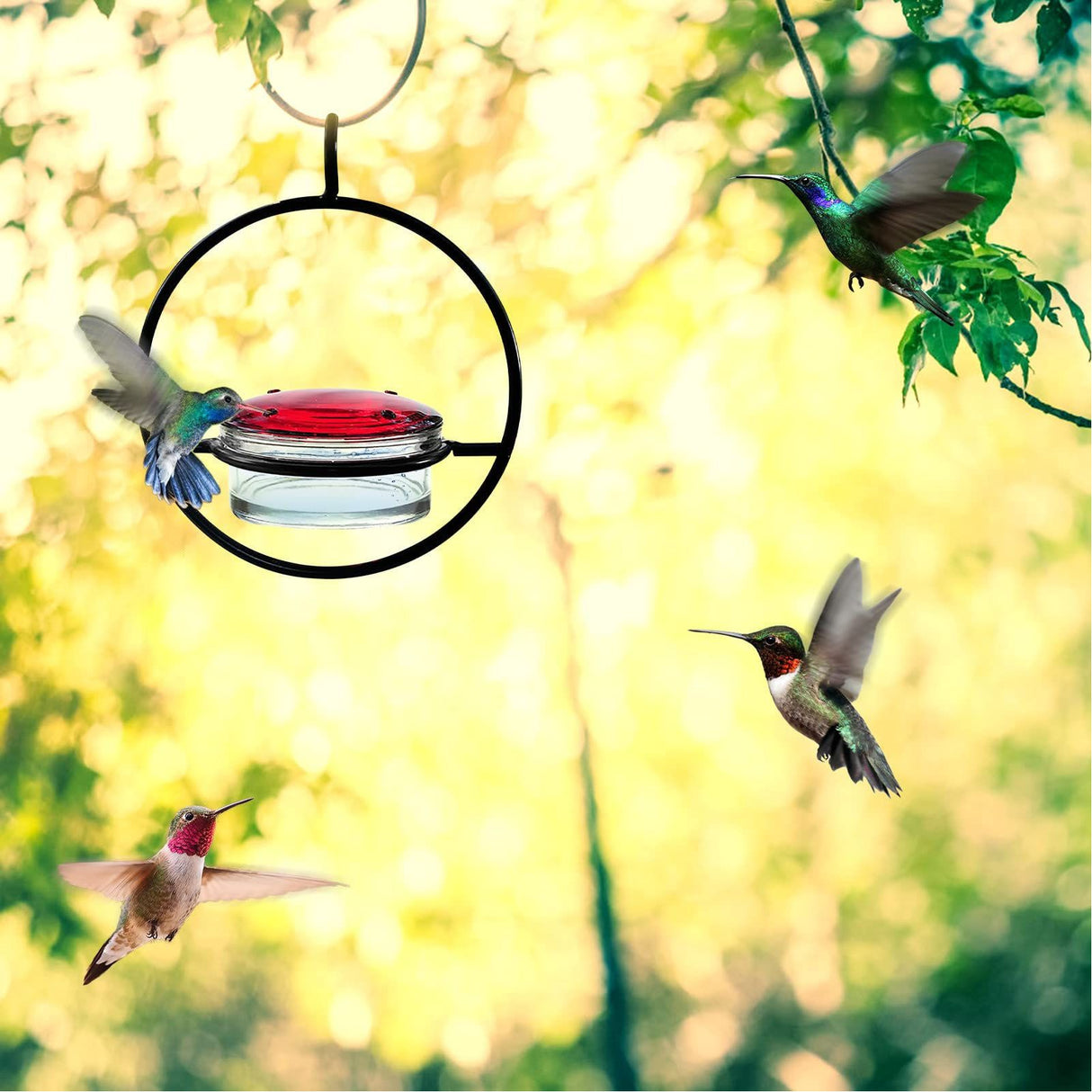 Beautiful Circular Hanging Hummingbird Feeder Outdoor Hanging Humming Bird Feeder 2pc