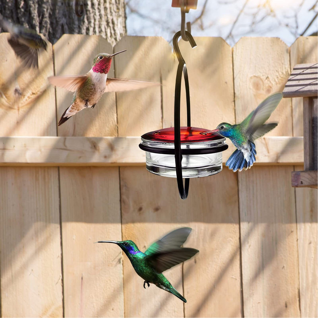 Beautiful Circular Hanging Hummingbird Feeder Outdoor Hanging Humming Bird Feeder 2pc