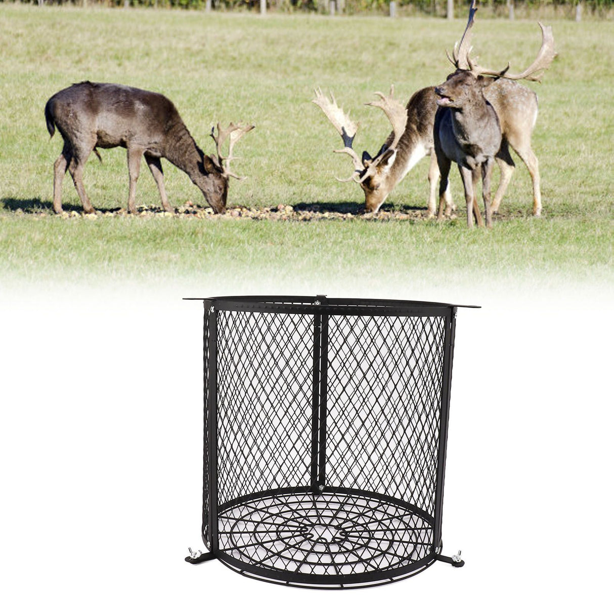 Varmint Feeder Cage Weatherproof Quick Lock Deer Feeder Protective Guards Cage for Outdoor Forest