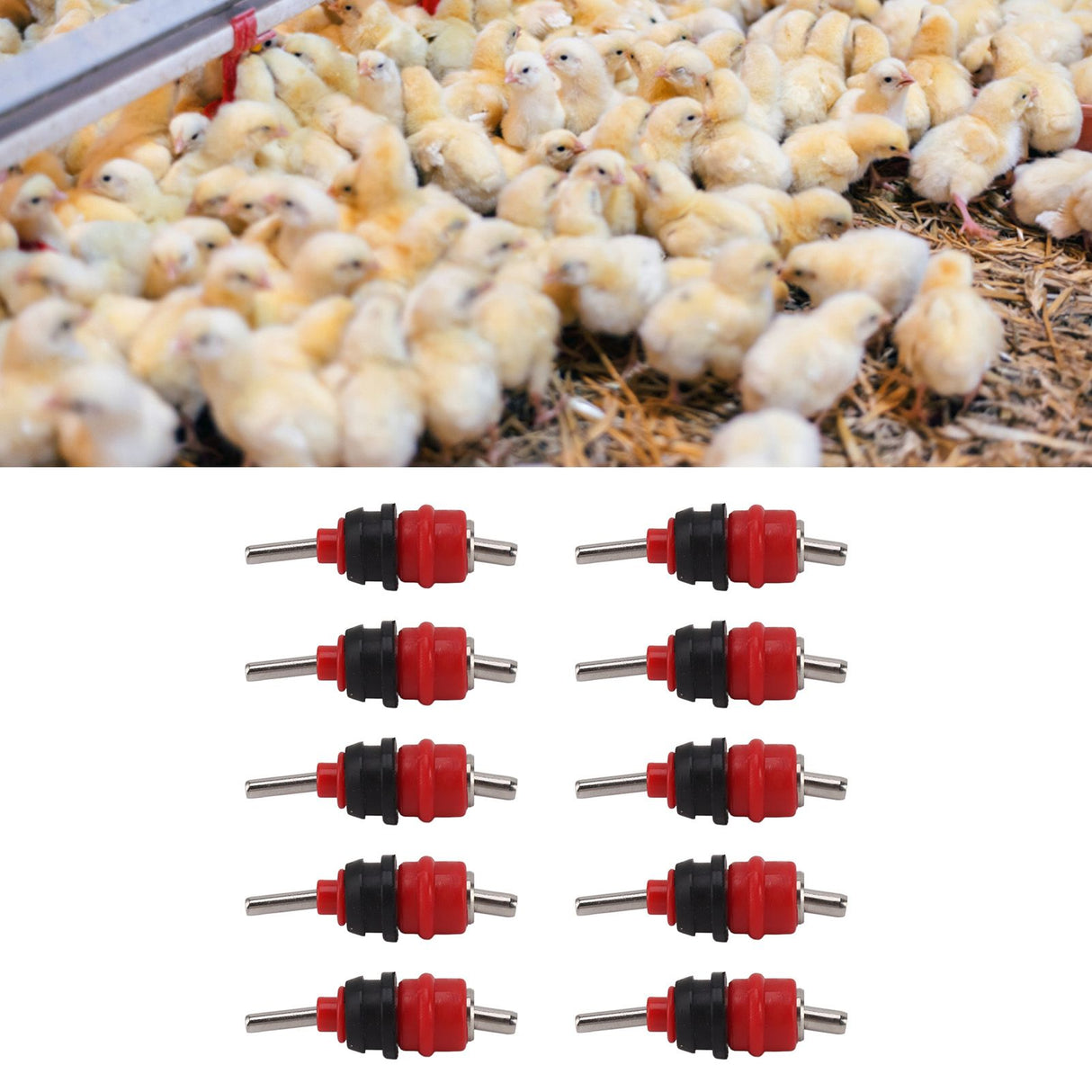 10pcs Automatic Chicken Water Nipple 360 Degree Poultry Drinking Water Chicken Duck Hen Watering Nipple Red Steel Ball