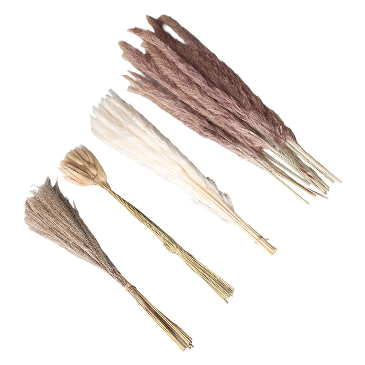 Natural Dried Pampas Grass Fluffy 15PCS White Pampas 15PCS Brown Pampas 50PCS Bunny Tail Grass 20PCS Reed Grass for Home Wedding Decor