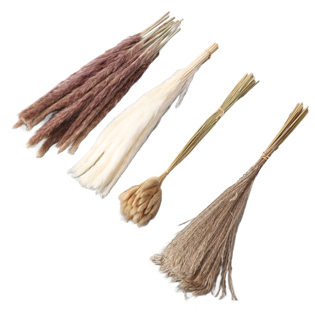 Natural Dried Pampas Grass Fluffy 15PCS White Pampas 15PCS Brown Pampas 50PCS Bunny Tail Grass 20PCS Reed Grass for Home Wedding Decor