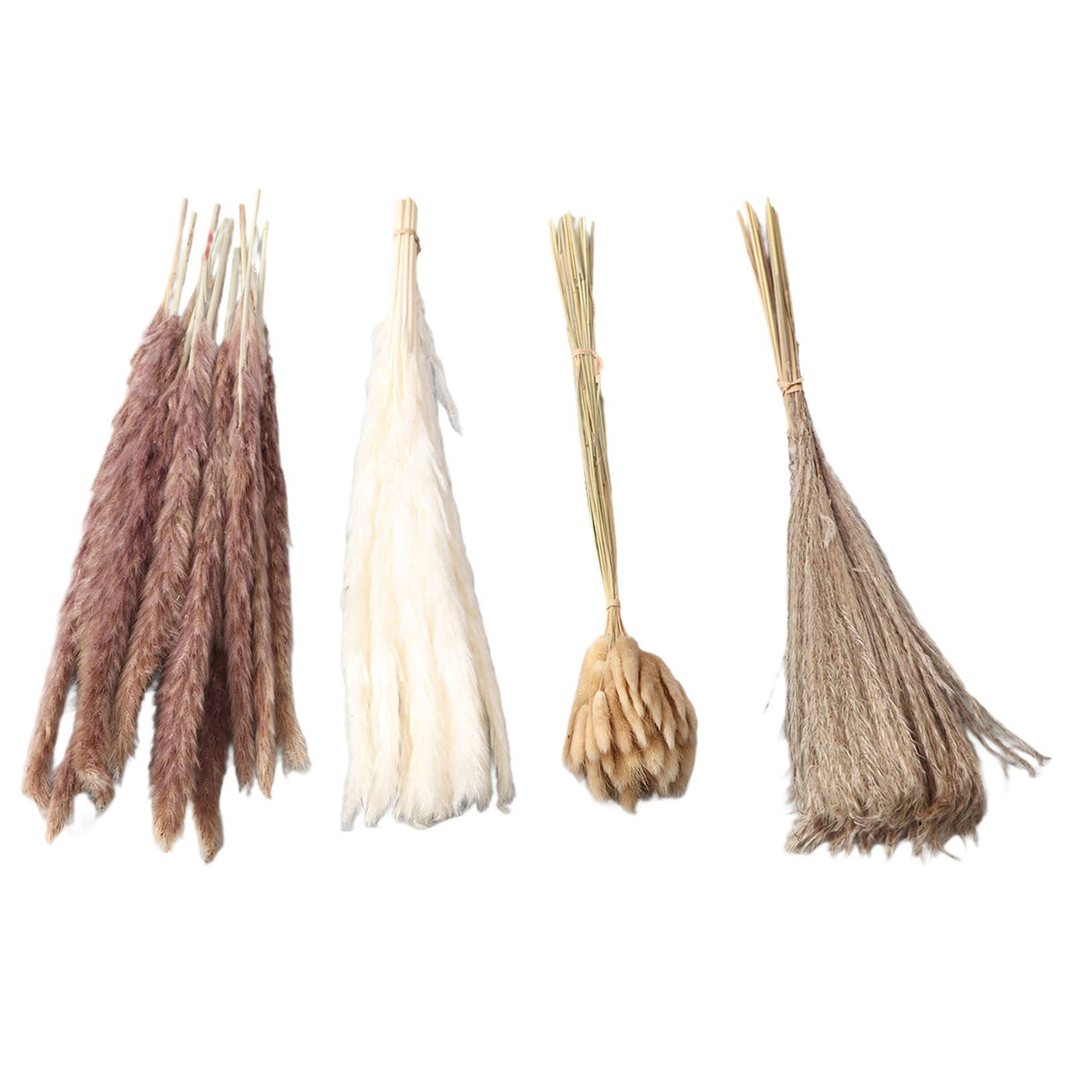 Natural Dried Pampas Grass Fluffy 15PCS White Pampas 15PCS Brown Pampas 50PCS Bunny Tail Grass 20PCS Reed Grass for Home Wedding Decor
