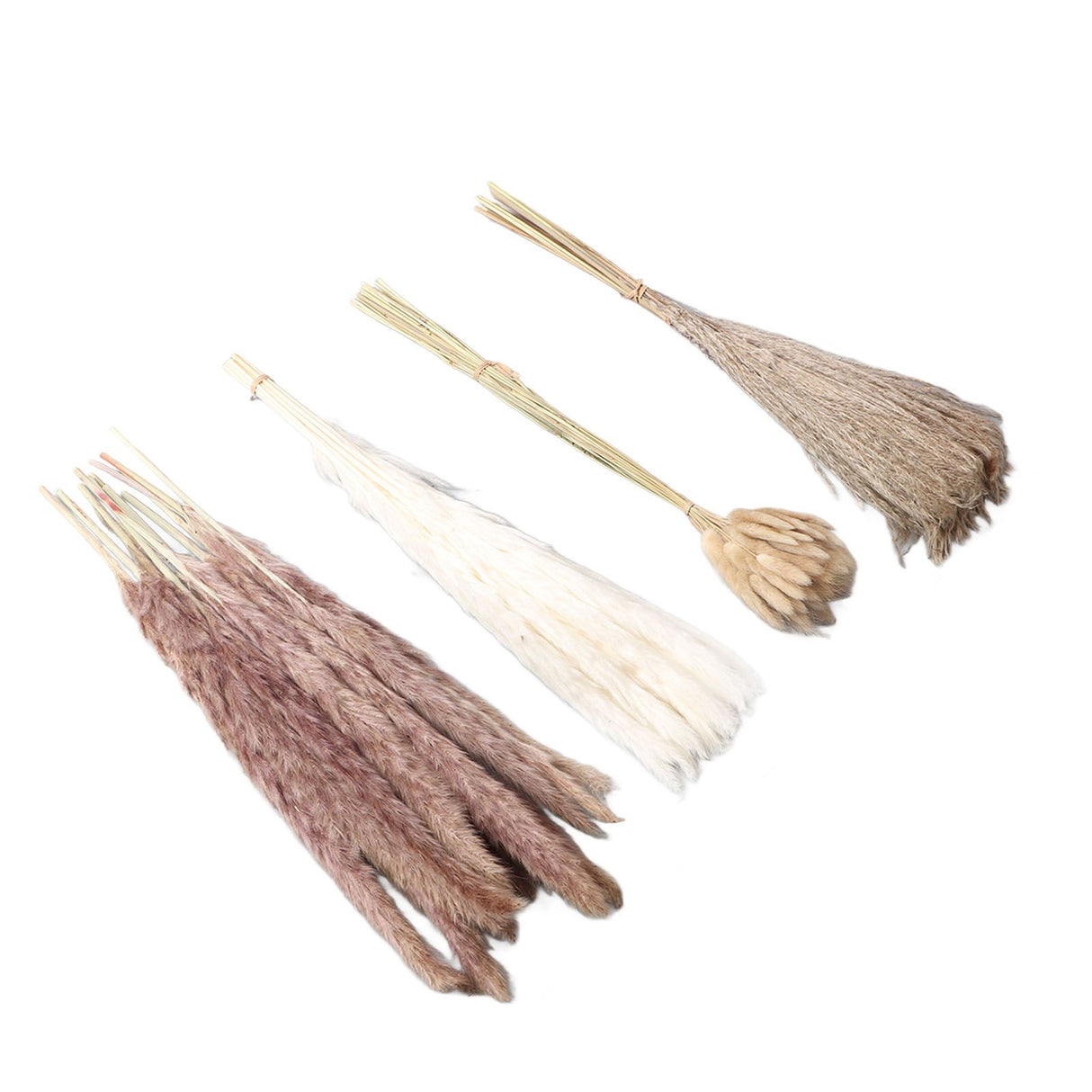Natural Dried Pampas Grass Fluffy 15PCS White Pampas 15PCS Brown Pampas 50PCS Bunny Tail Grass 20PCS Reed Grass for Home Wedding Decor