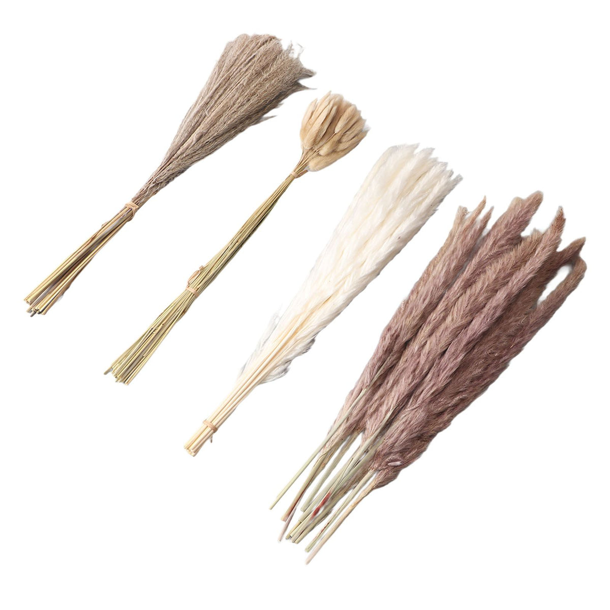 Natural Dried Pampas Grass Fluffy 15PCS White Pampas 15PCS Brown Pampas 50PCS Bunny Tail Grass 20PCS Reed Grass for Home Wedding Decor