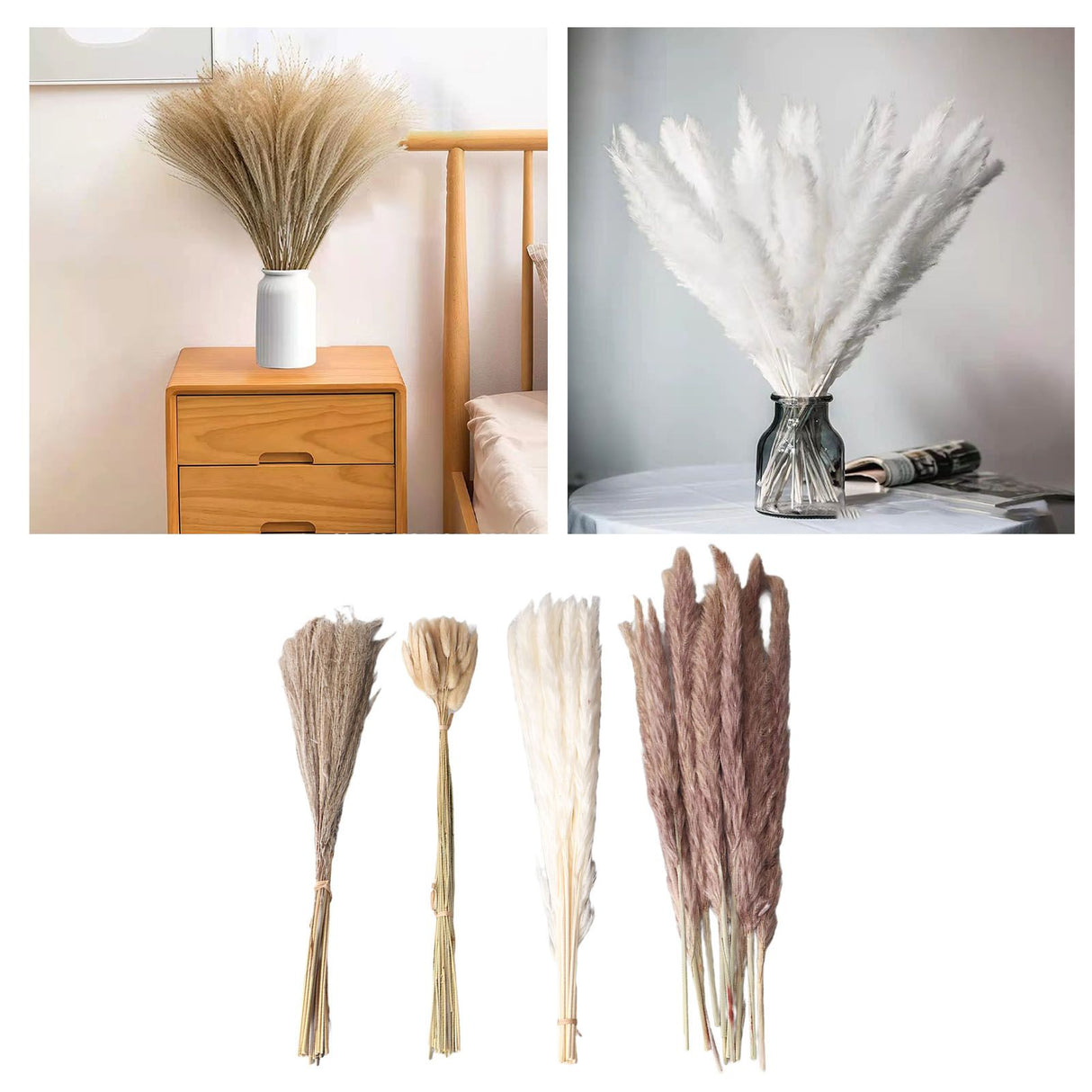 Natural Dried Pampas Grass Fluffy 15PCS White Pampas 15PCS Brown Pampas 50PCS Bunny Tail Grass 20PCS Reed Grass for Home Wedding Decor