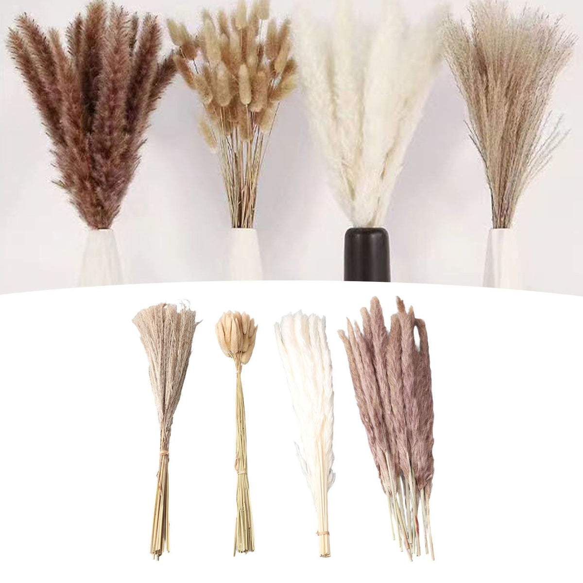 Natural Dried Pampas Grass Fluffy 15PCS White Pampas 15PCS Brown Pampas 50PCS Bunny Tail Grass 20PCS Reed Grass for Home Wedding Decor