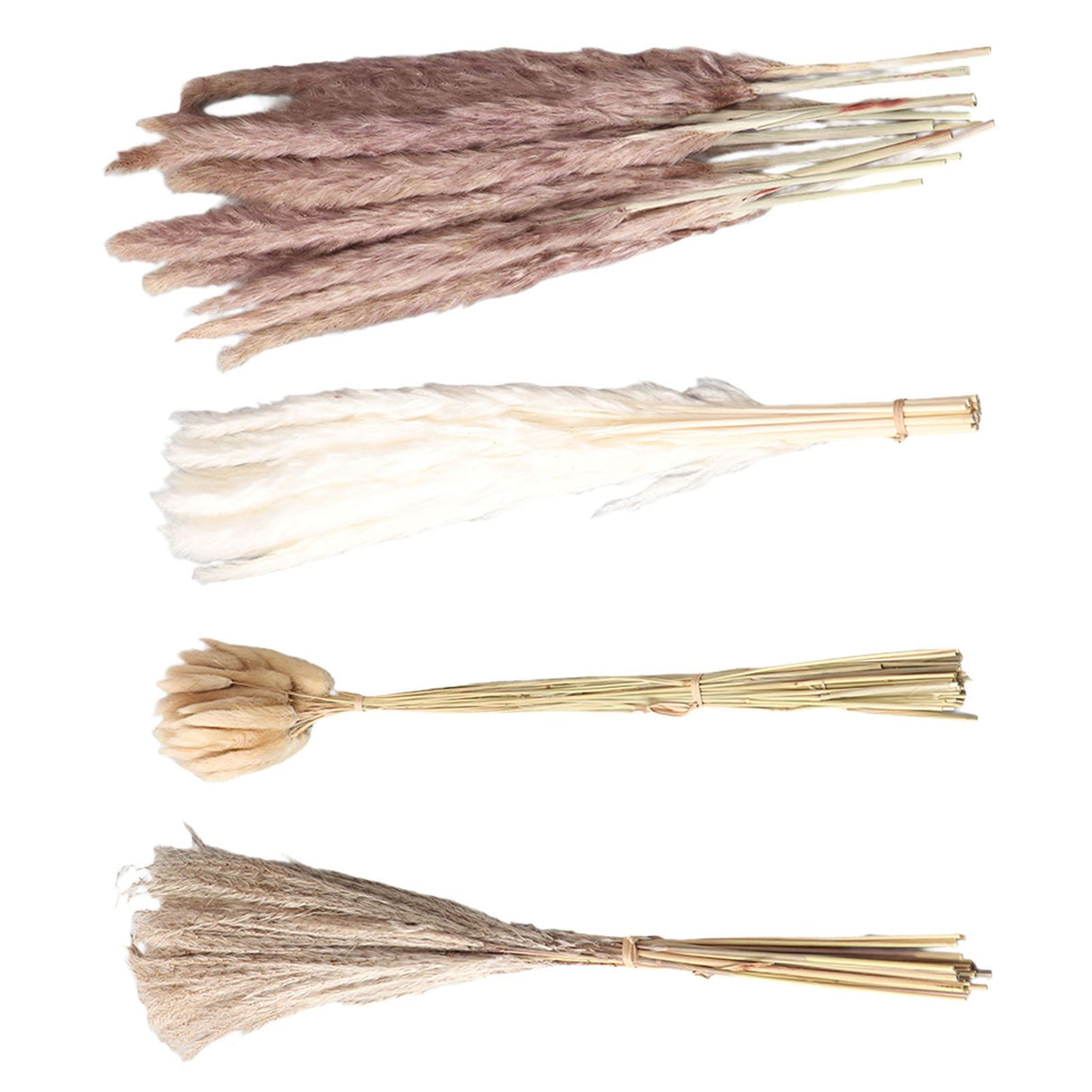 Natural Dried Pampas Grass Fluffy 15PCS White Pampas 15PCS Brown Pampas 50PCS Bunny Tail Grass 20PCS Reed Grass for Home Wedding Decor