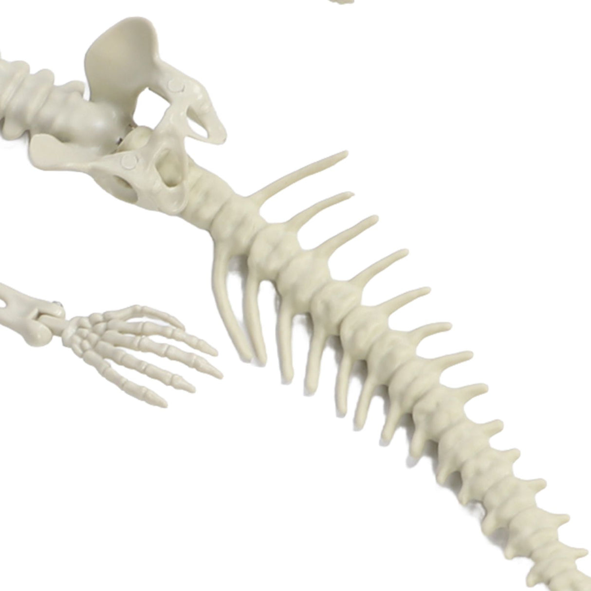 Halloween Skeleton Decoration Realistic Scary Skeleton Figurine Ornament for Haunted House Party Outdoor