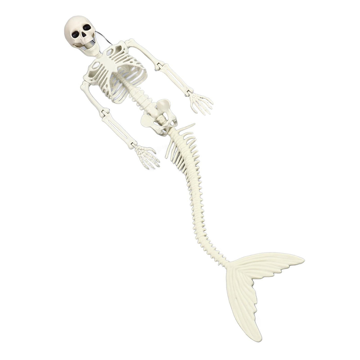 Life Size Skeleton Mermaid Halloween Outdoor Decorations Movable Posable Joints Realistic Full Body Skeleton Mermaid Props