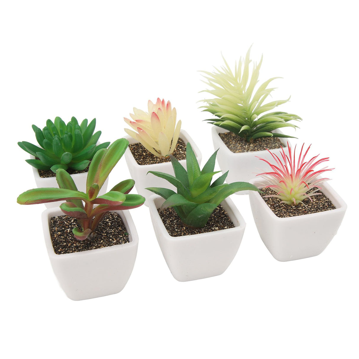 6PCS Potted Artificial Succulents Artificial Plants in Pots Plastic Fake Home Plant Decor for Living Room Office