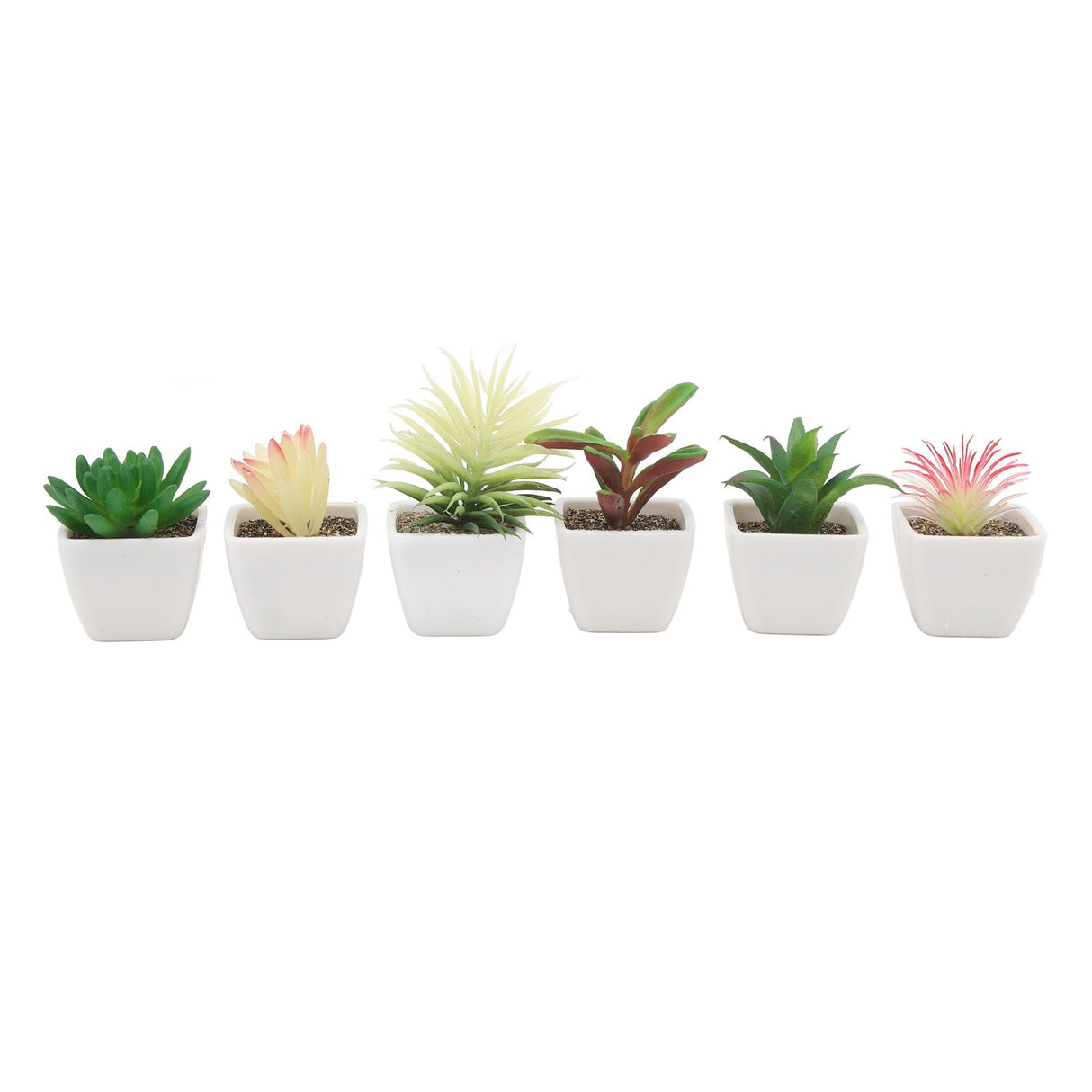 6PCS Potted Artificial Succulents Artificial Plants in Pots Plastic Fake Home Plant Decor for Living Room Office
