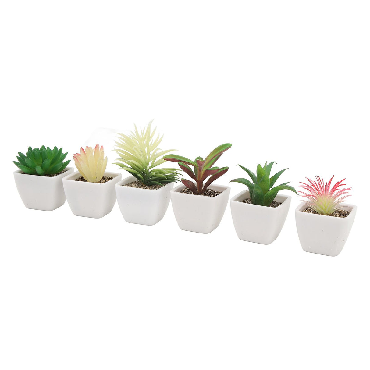 6PCS Potted Artificial Succulents Artificial Plants in Pots Plastic Fake Home Plant Decor for Living Room Office