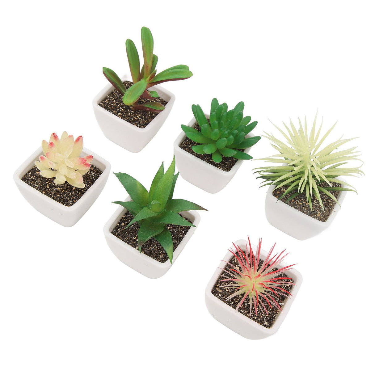 6PCS Potted Artificial Succulents Artificial Plants in Pots Plastic Fake Home Plant Decor for Living Room Office