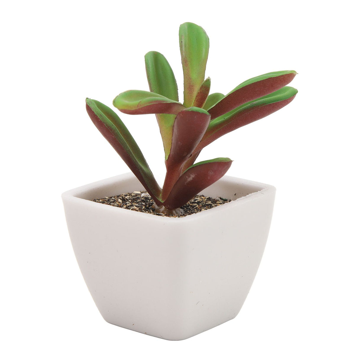 6PCS Potted Artificial Succulents Artificial Plants in Pots Plastic Fake Home Plant Decor for Living Room Office