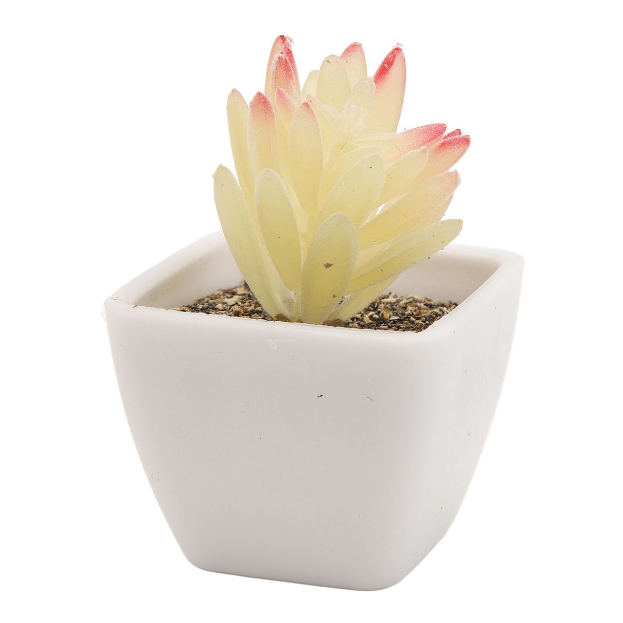 6PCS Potted Artificial Succulents Artificial Plants in Pots Plastic Fake Home Plant Decor for Living Room Office